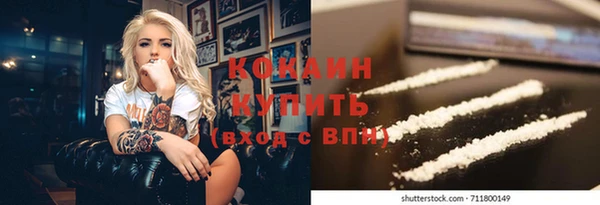 индика Абинск