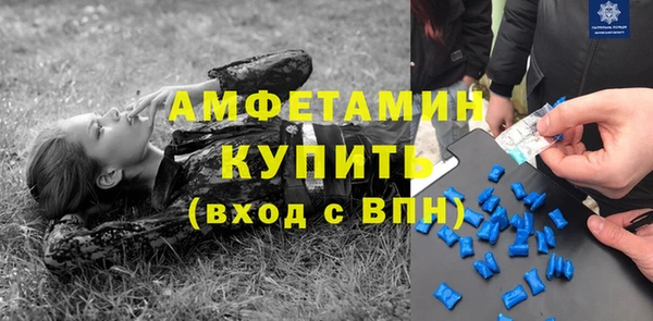 индика Абинск